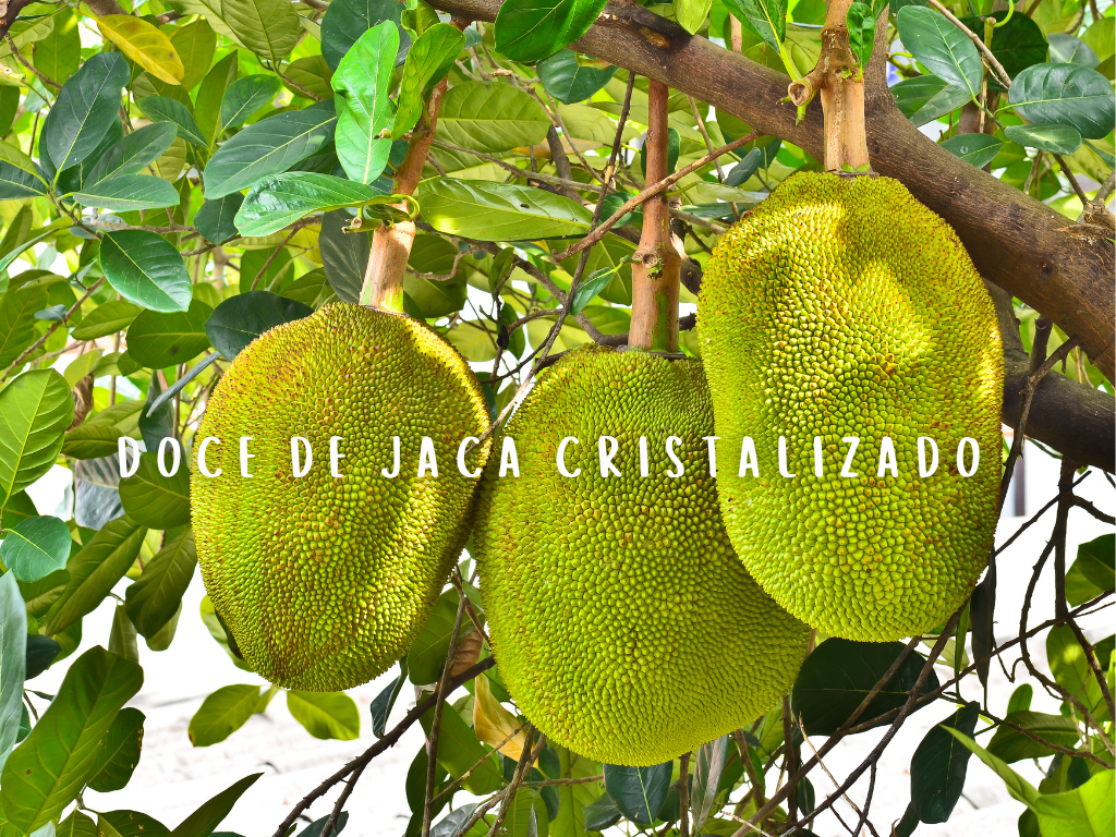 doce de jaca cristalizado onde comprar