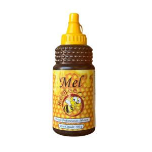 Mel Silvestre